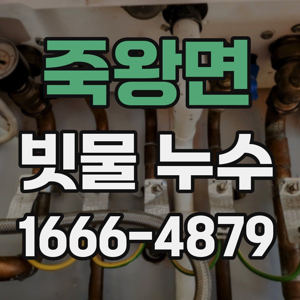 죽왕면 빗물 누수