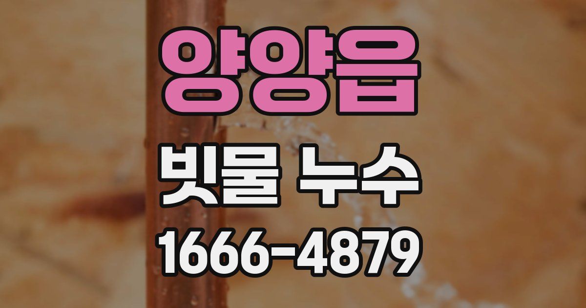 양양읍 빗물 누수