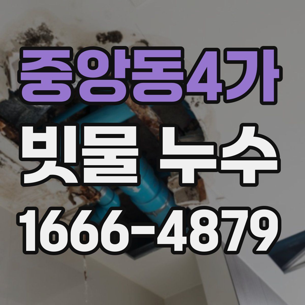 중앙동4가 빗물 누수