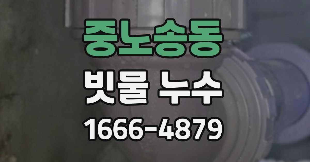 중노송동 빗물 누수