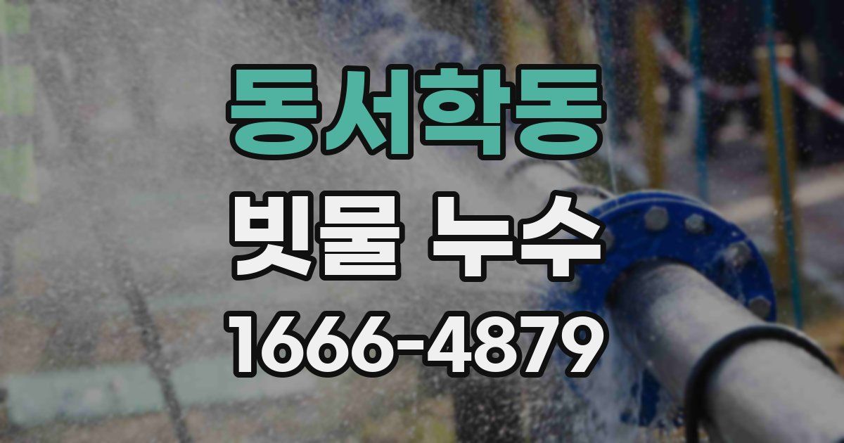동서학동 빗물 누수