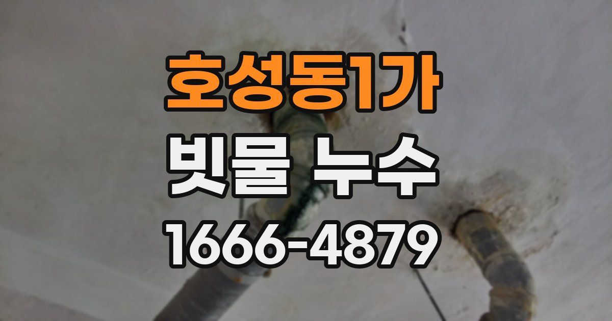 호성동1가 빗물 누수