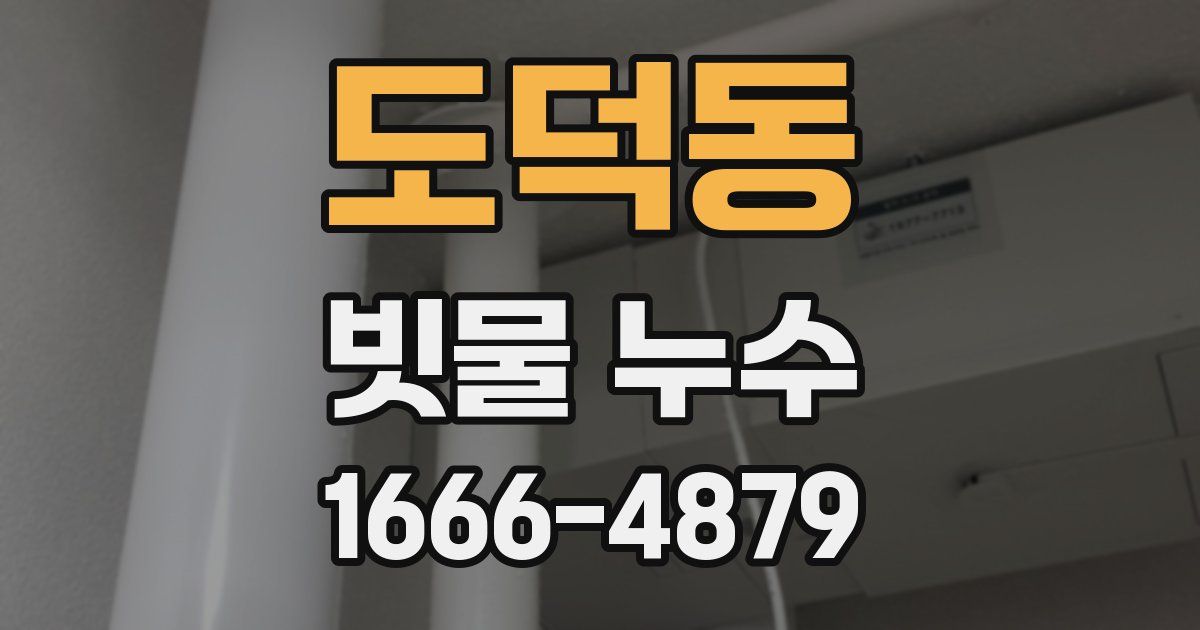 도덕동 빗물 누수