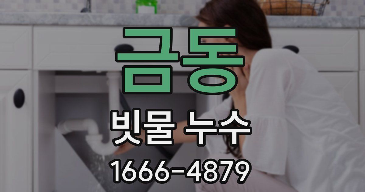 금동 빗물 누수