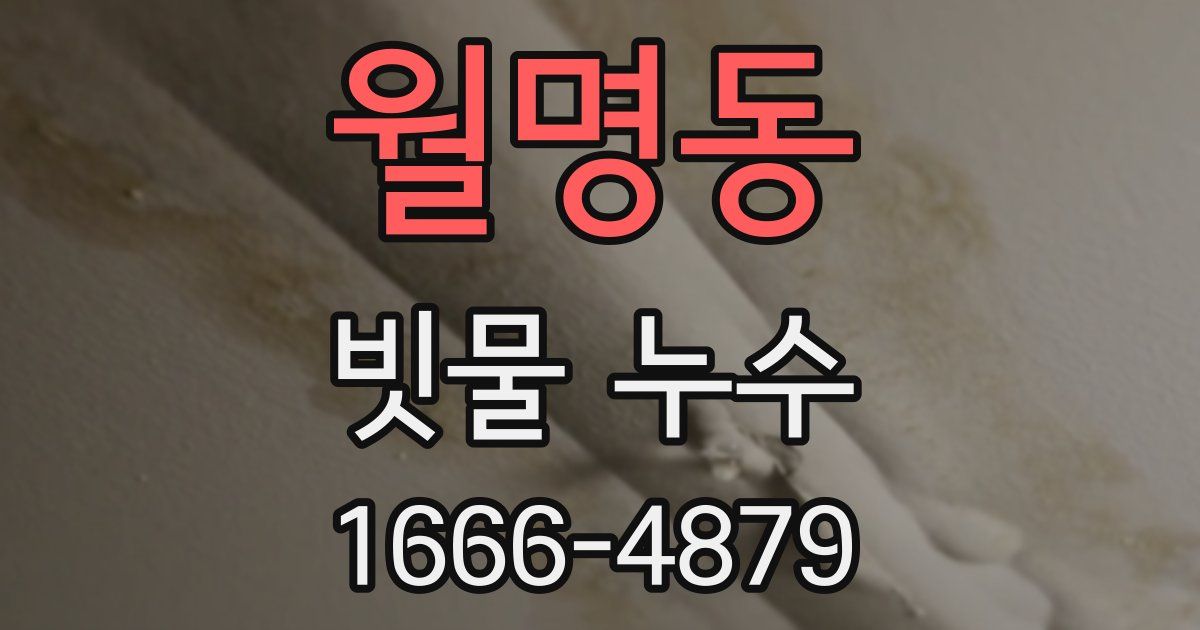 월명동 빗물 누수