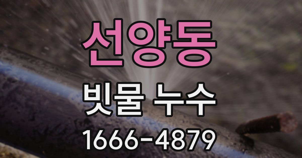 선양동 빗물 누수