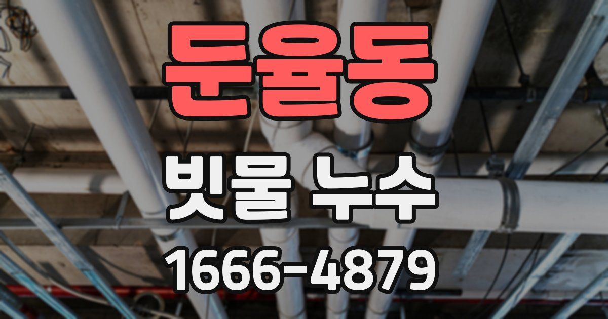 둔율동 빗물 누수