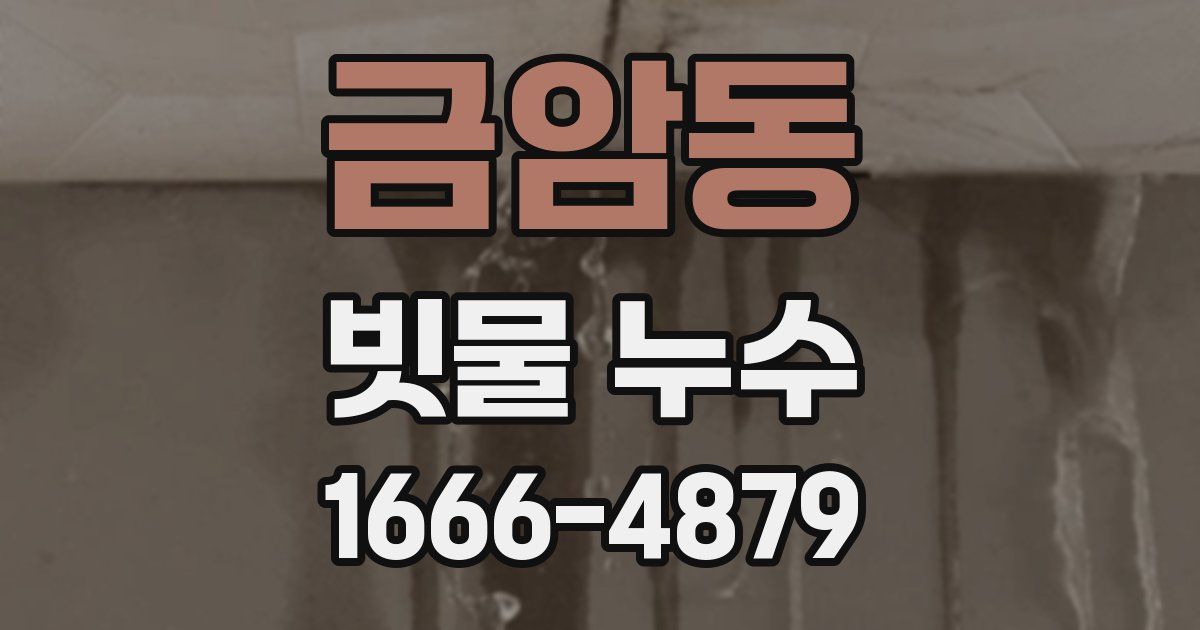 금암동 빗물 누수