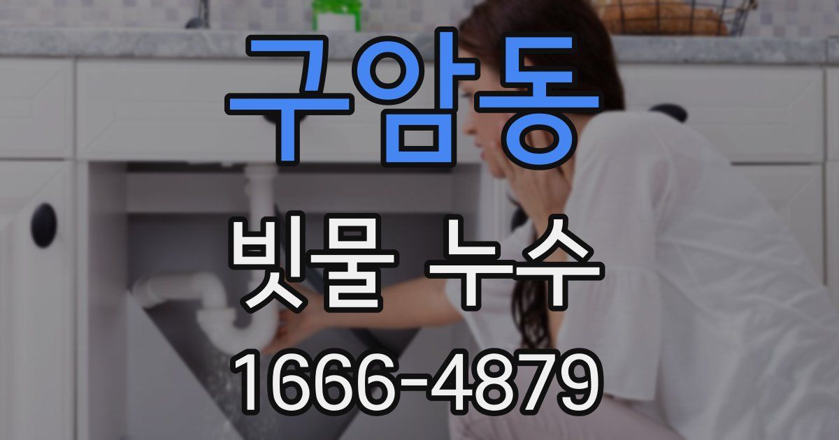 구암동 빗물 누수