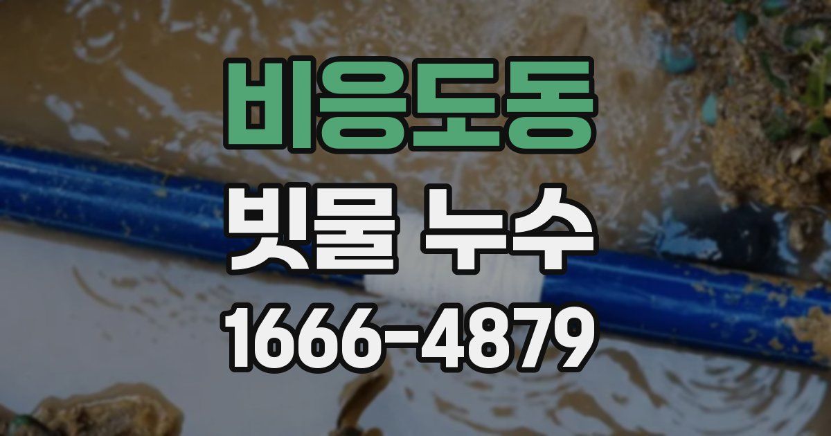 비응도동 빗물 누수