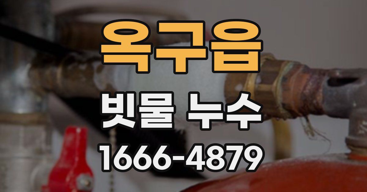 옥구읍 빗물 누수