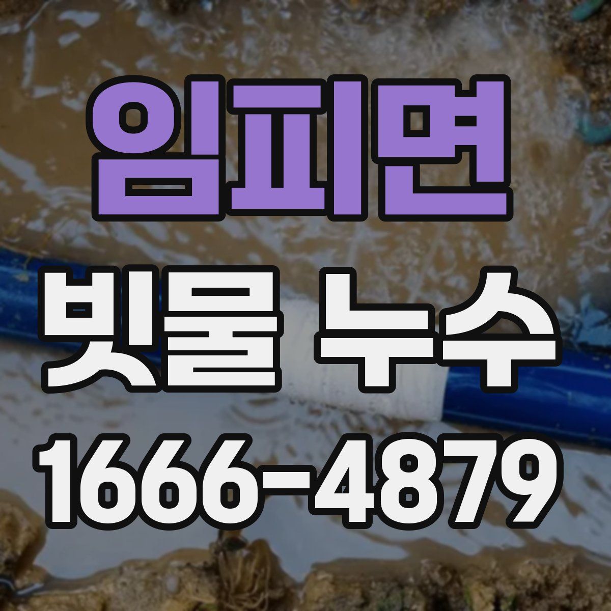 임피면 빗물 누수