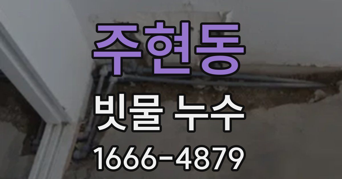 주현동 빗물 누수