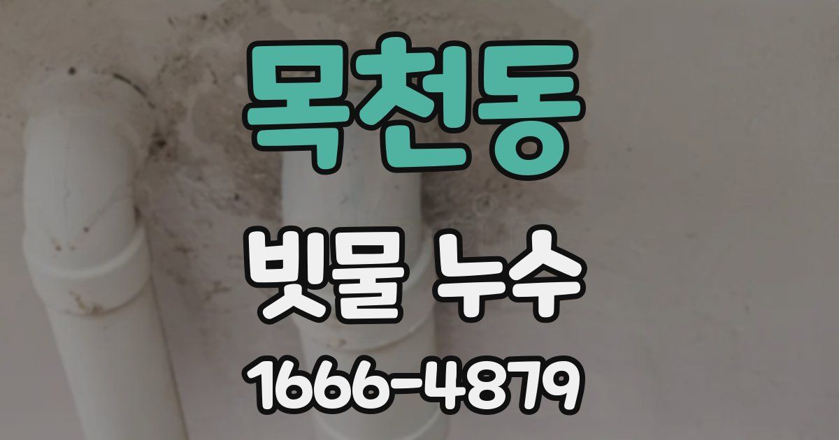 목천동 빗물 누수