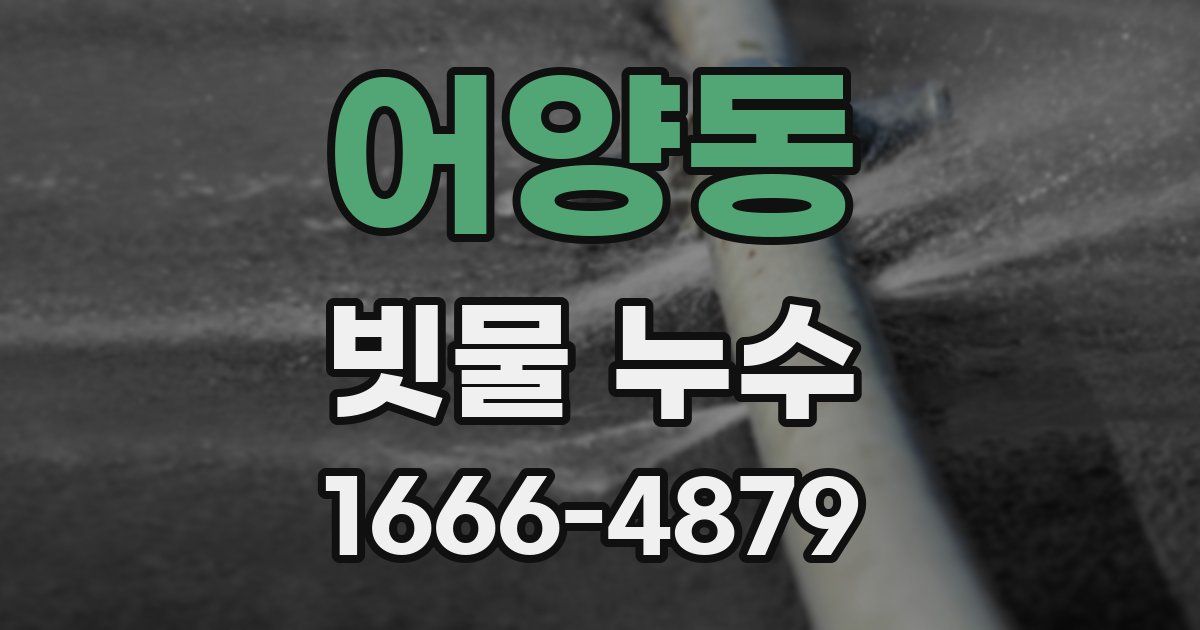 어양동 빗물 누수