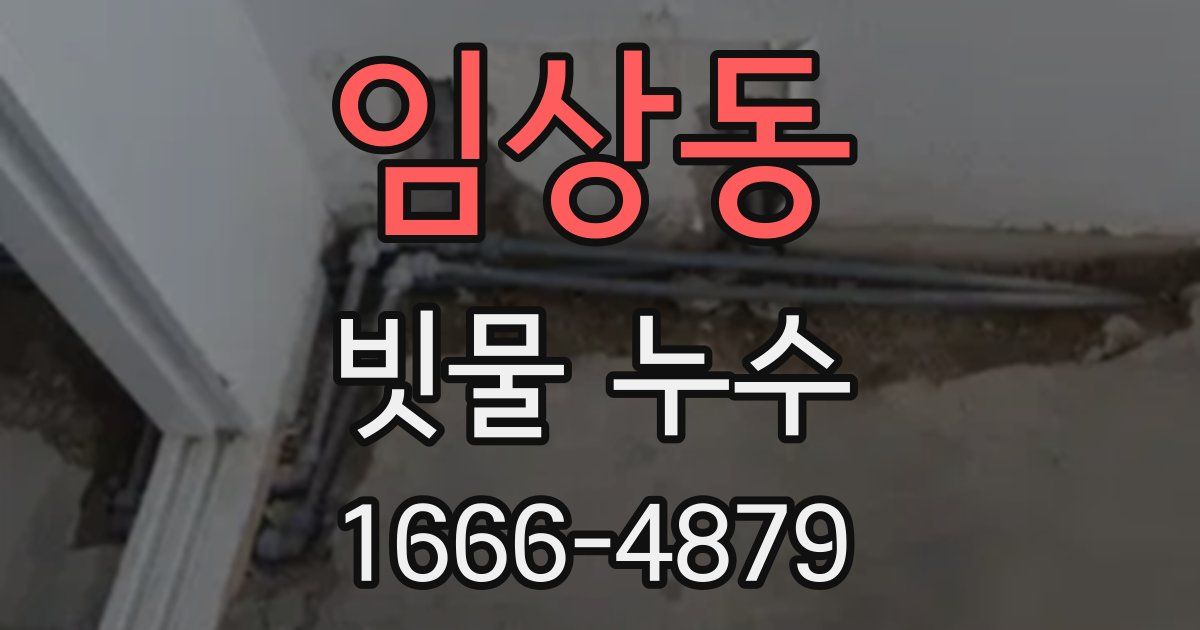 임상동 빗물 누수