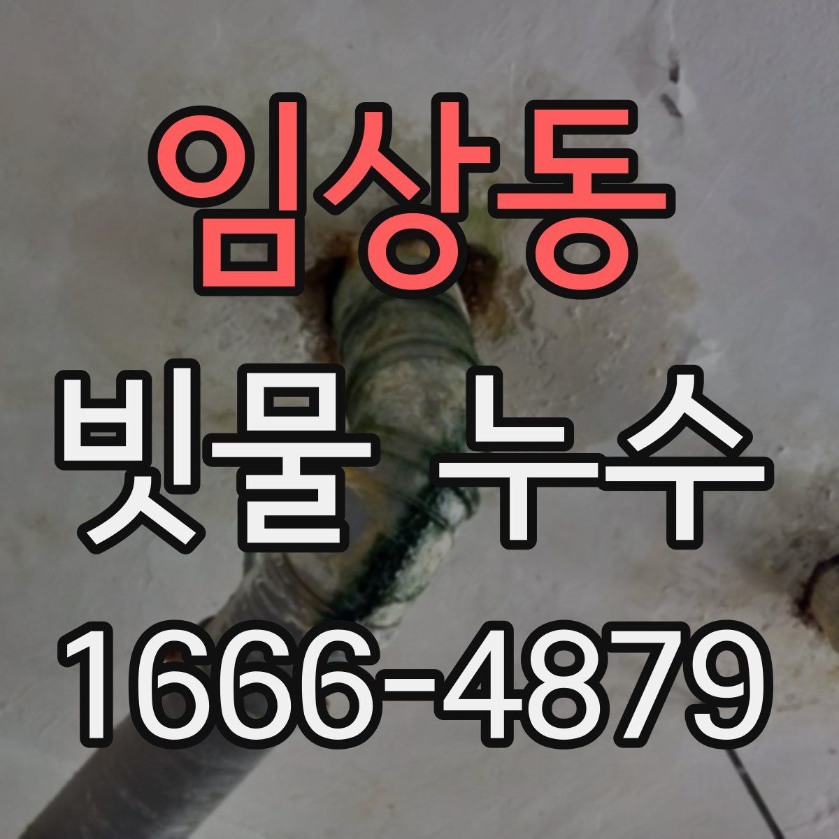 임상동 빗물 누수