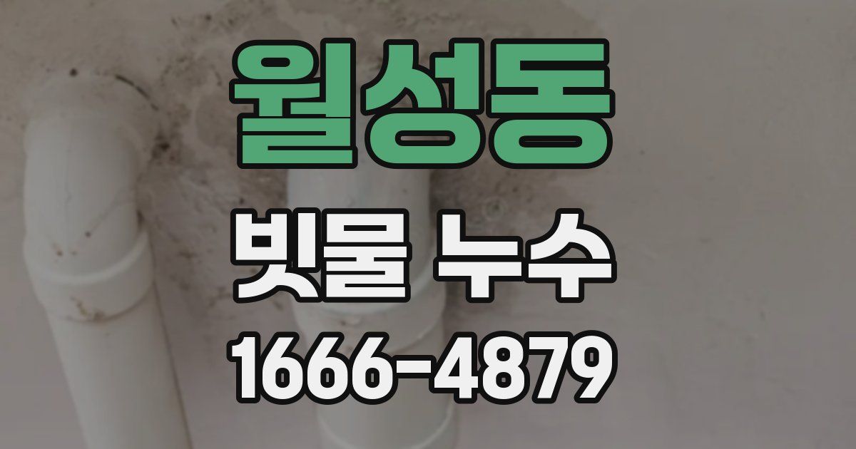 월성동 빗물 누수