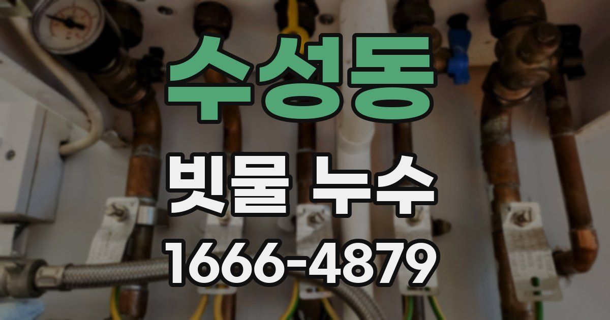 수성동 빗물 누수