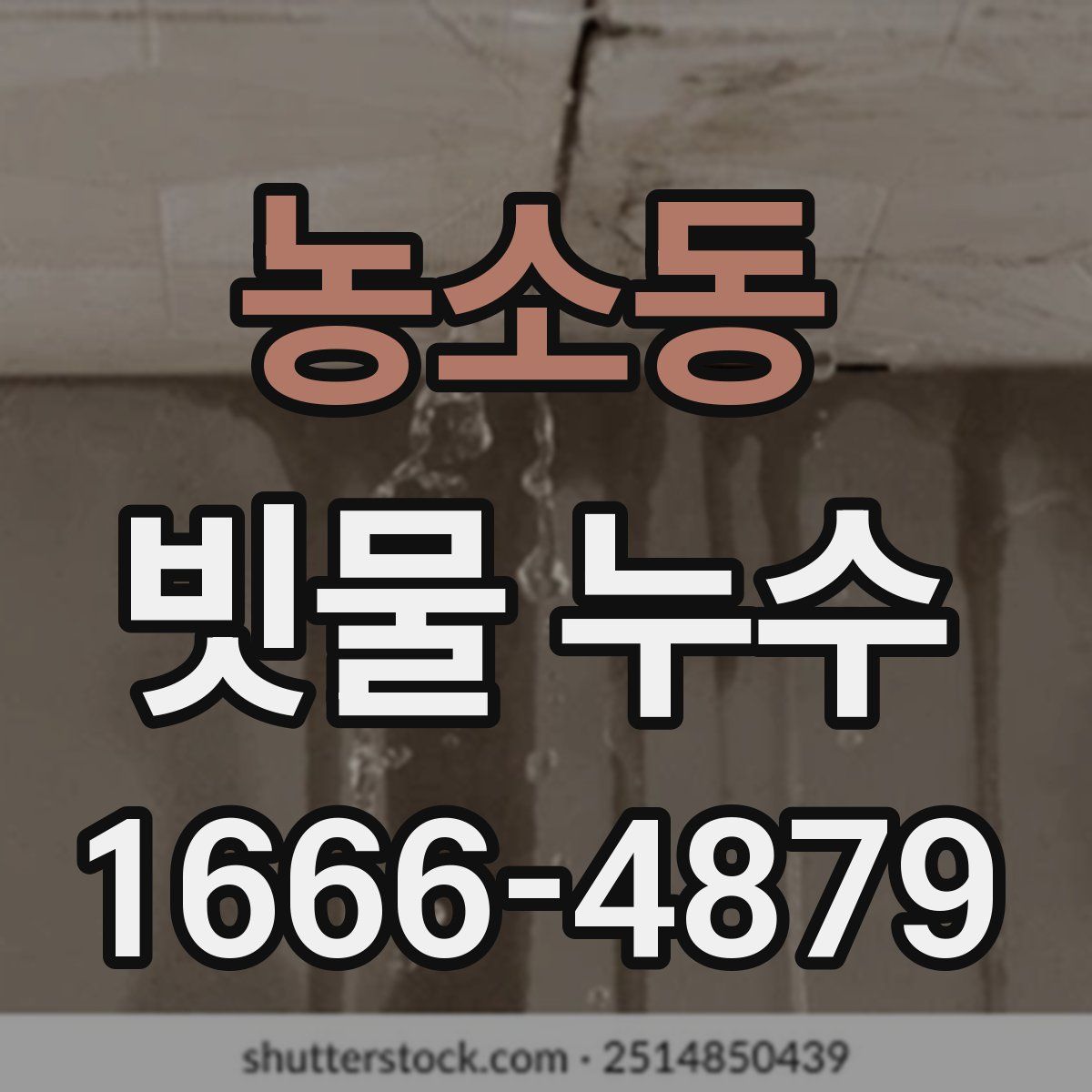 농소동 빗물 누수