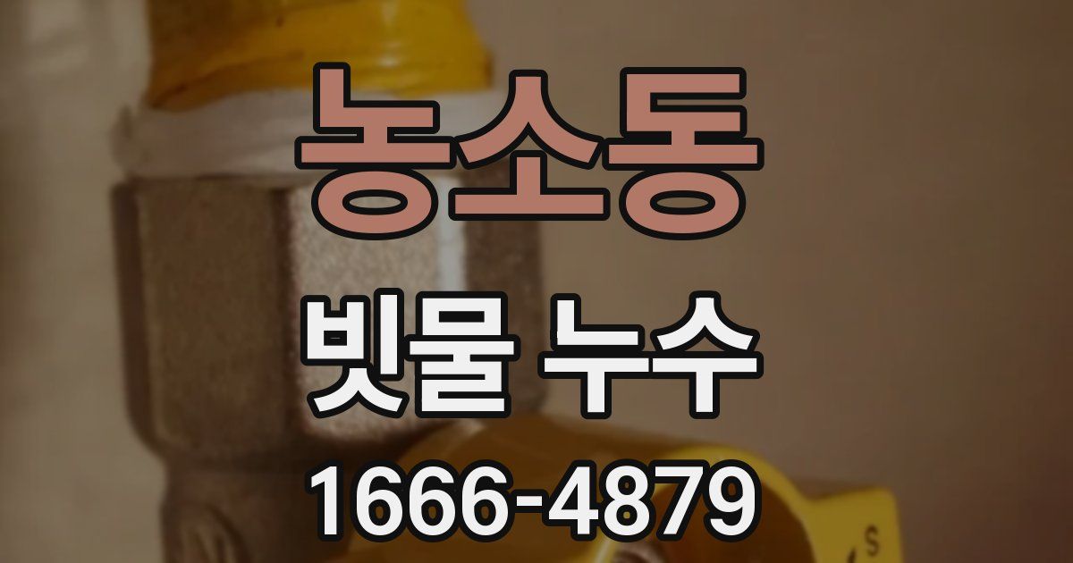농소동 빗물 누수