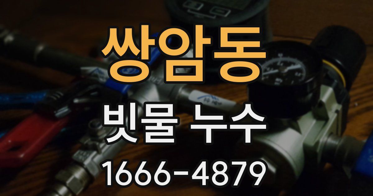 쌍암동 빗물 누수