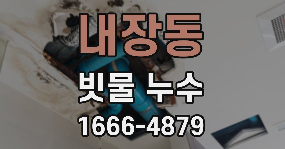 내장동 빗물 누수