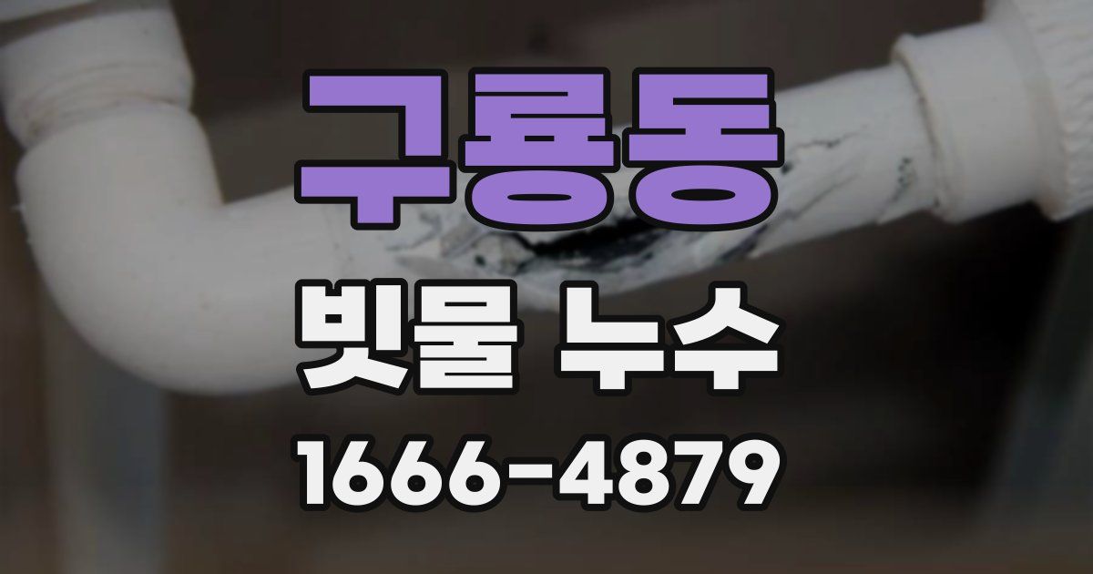 구룡동 빗물 누수