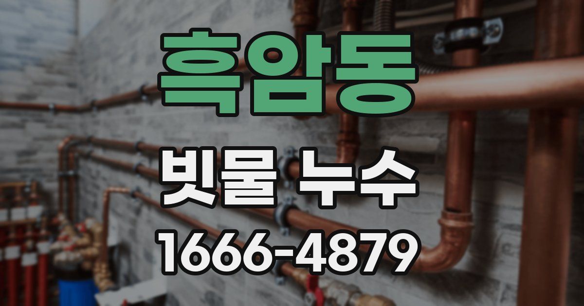 흑암동 빗물 누수