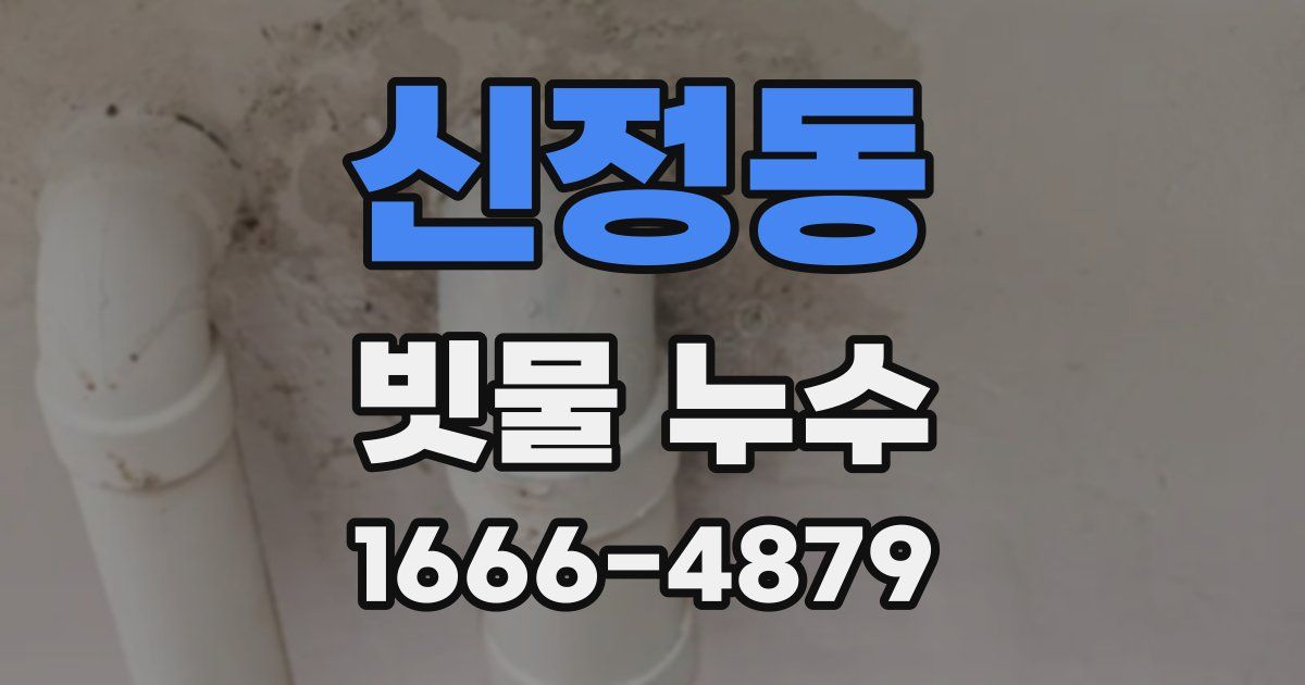 신정동 빗물 누수
