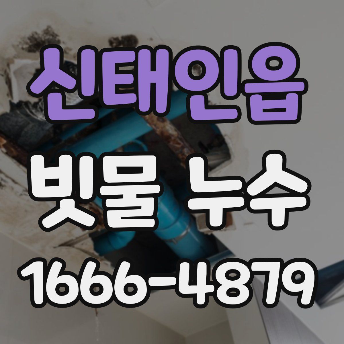 신태인읍 빗물 누수
