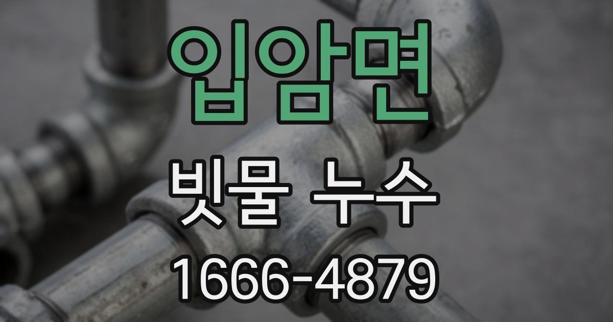 입암면 빗물 누수