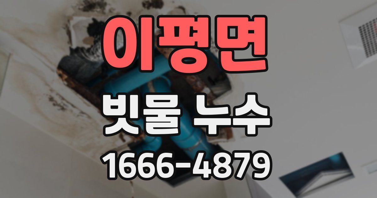이평면 빗물 누수