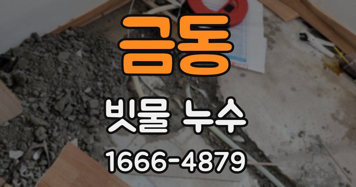 금동 빗물 누수