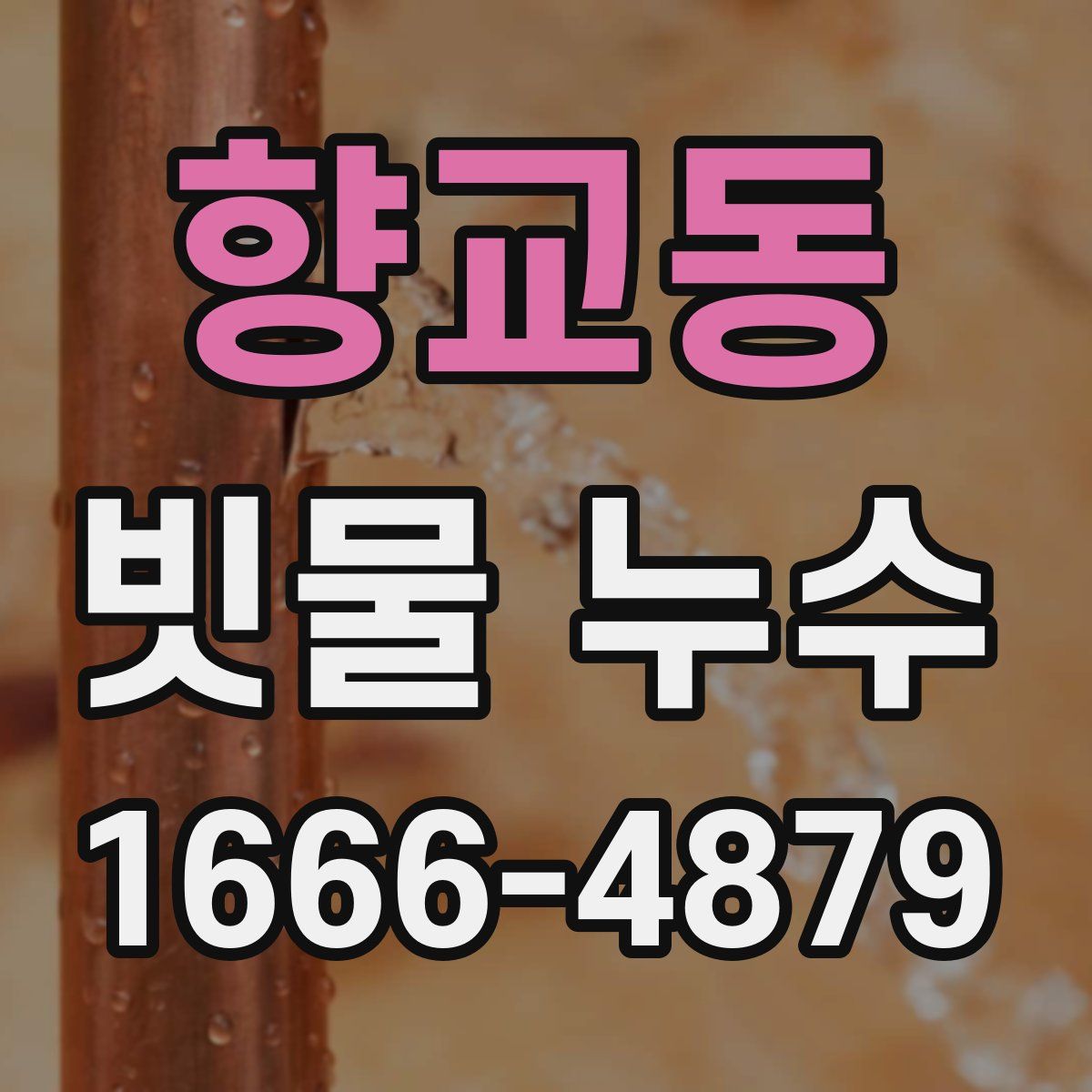 향교동 빗물 누수