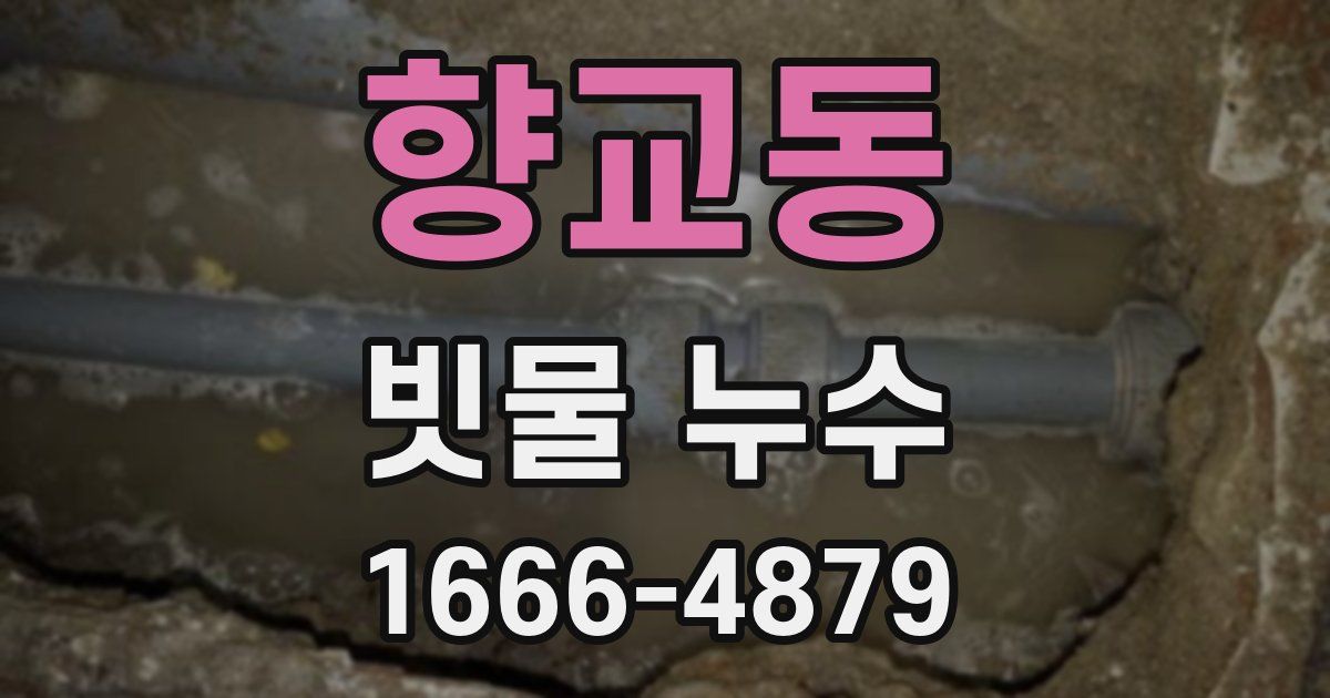 향교동 빗물 누수