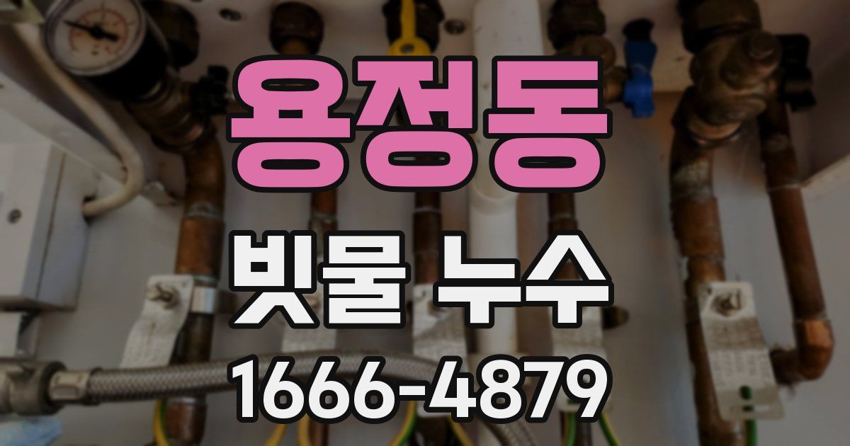 용정동 빗물 누수