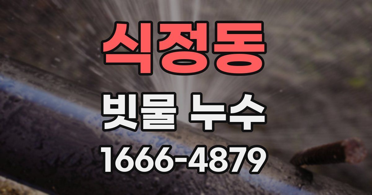 식정동 빗물 누수