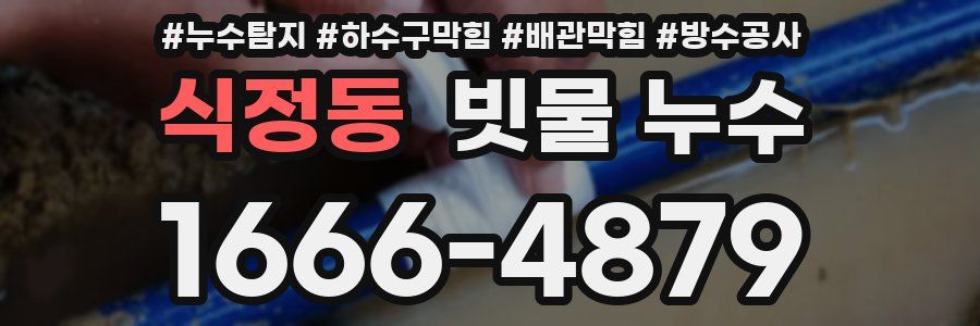 식정동 빗물 누수