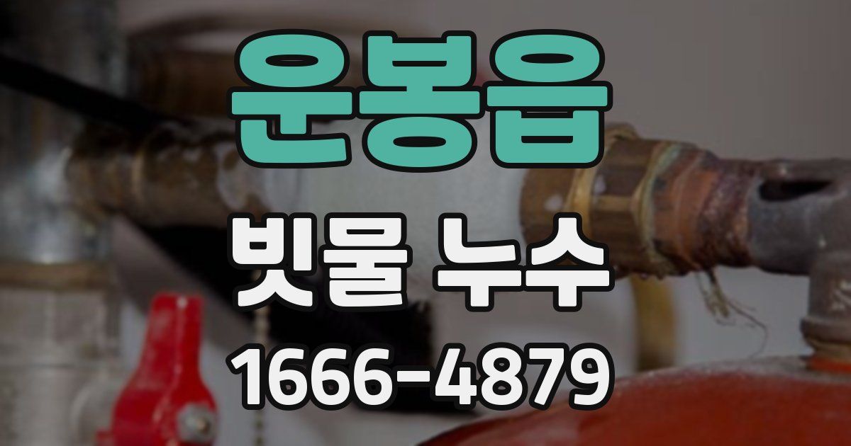 운봉읍 빗물 누수