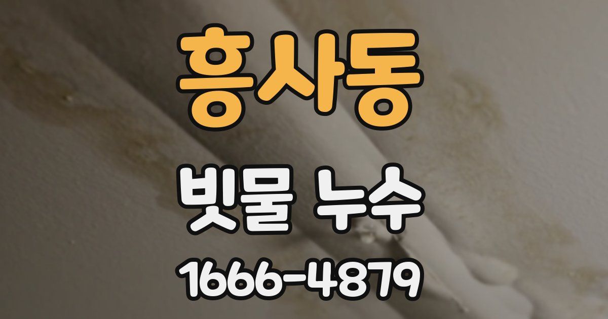 흥사동 빗물 누수
