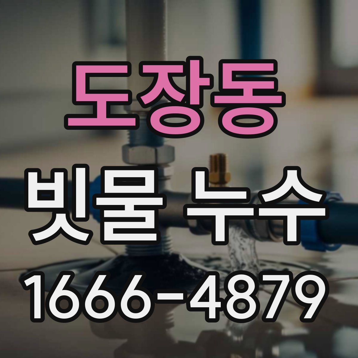 도장동 빗물 누수