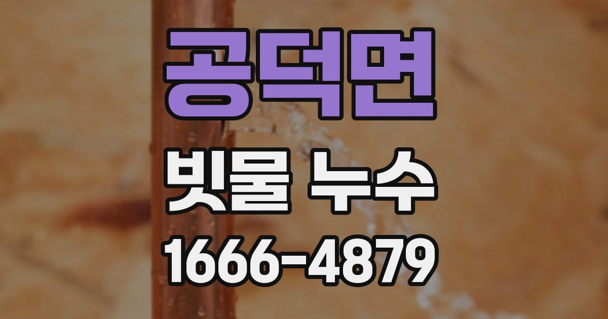 공덕면 빗물 누수