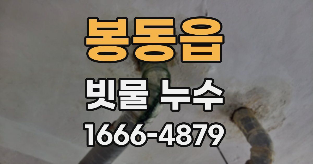 봉동읍 빗물 누수