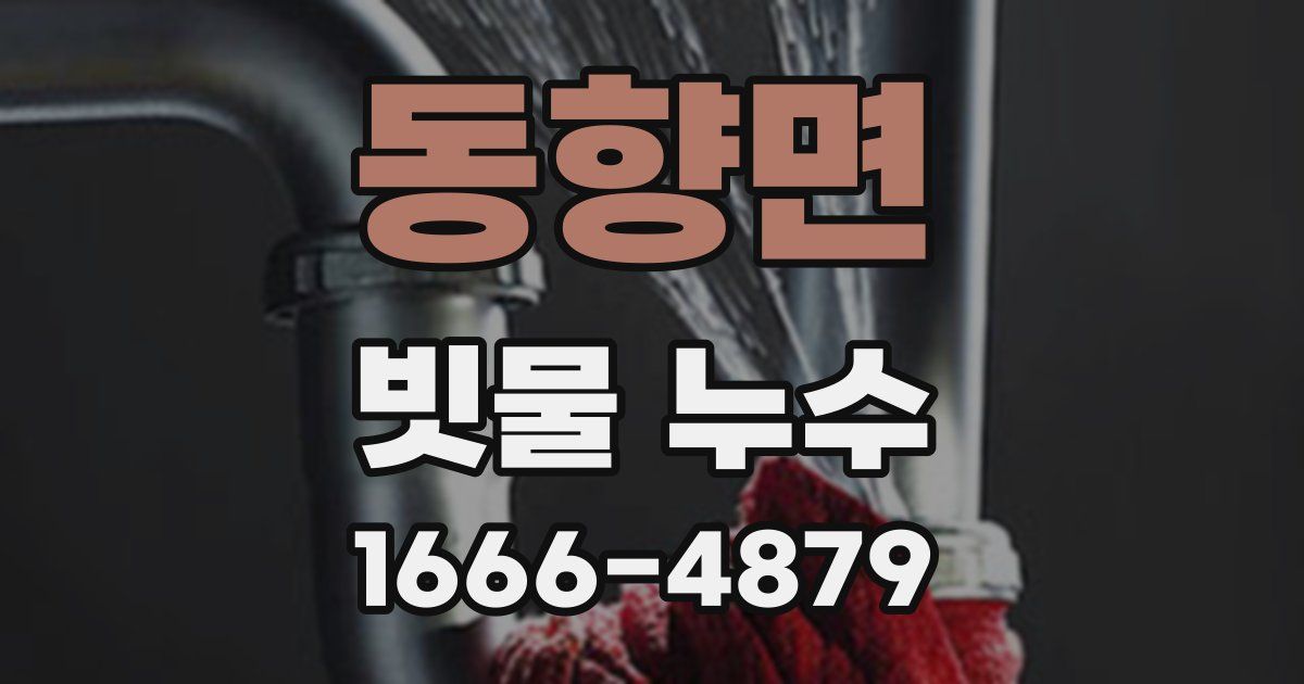 동향면 빗물 누수