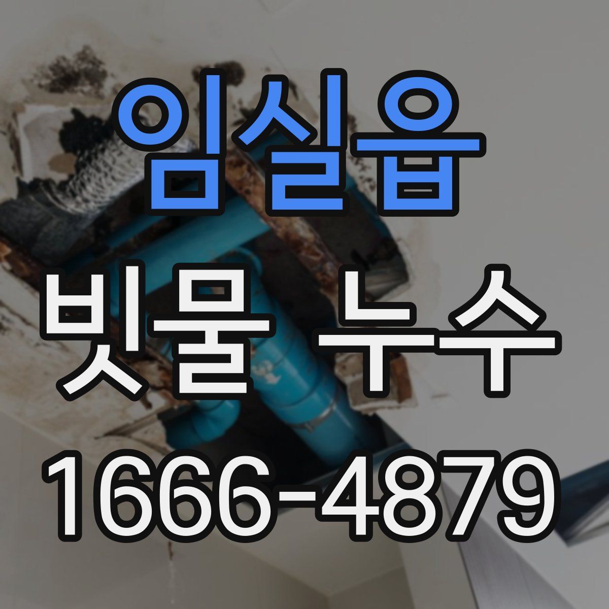 임실읍 빗물 누수