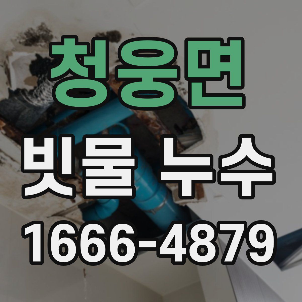 청웅면 빗물 누수