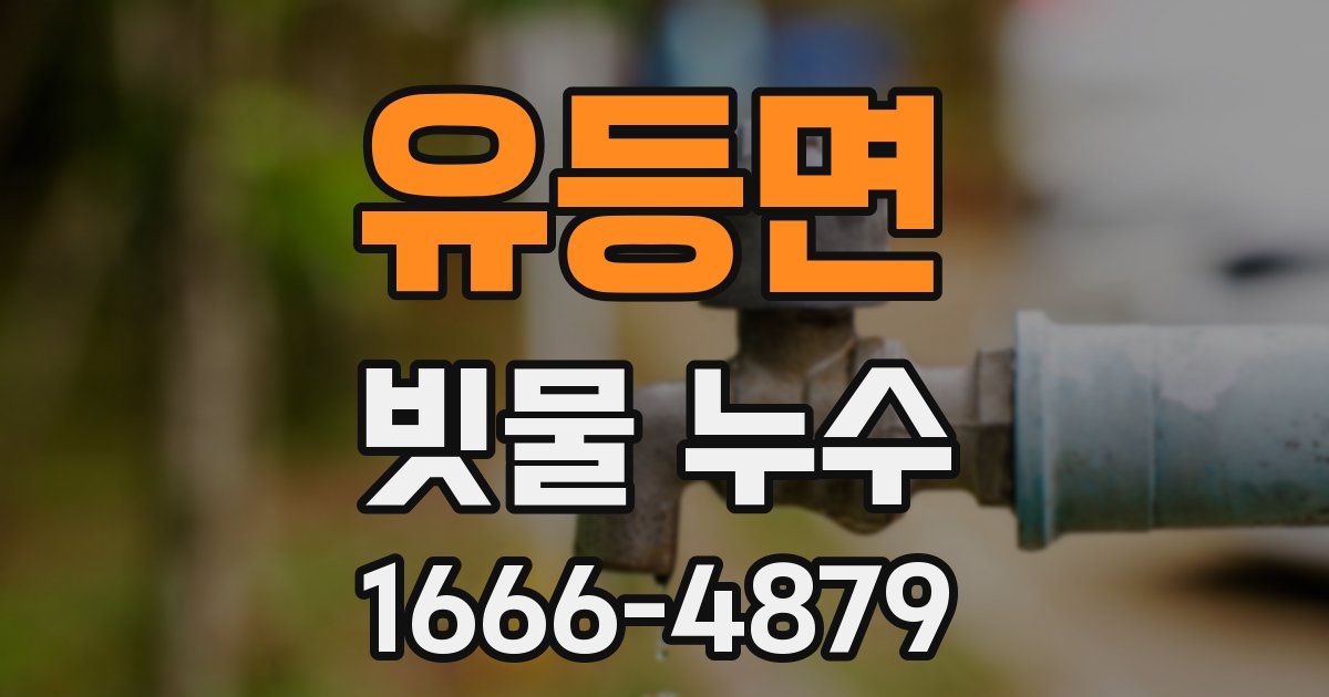 유등면 빗물 누수