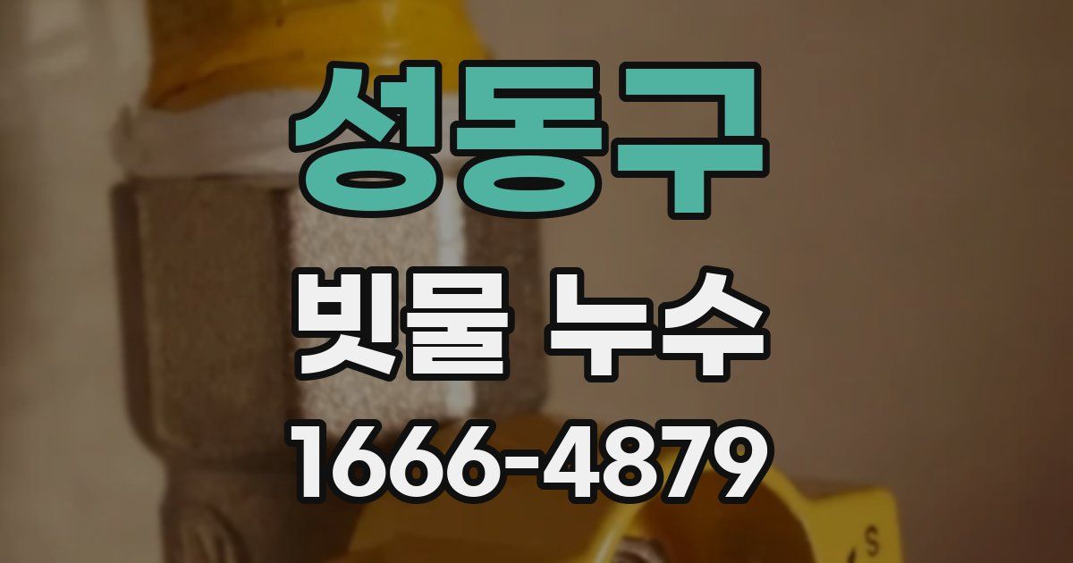 성동구 빗물 누수