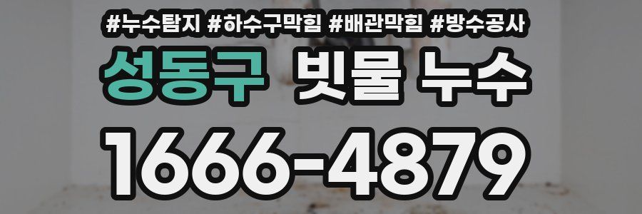 성동구 빗물 누수